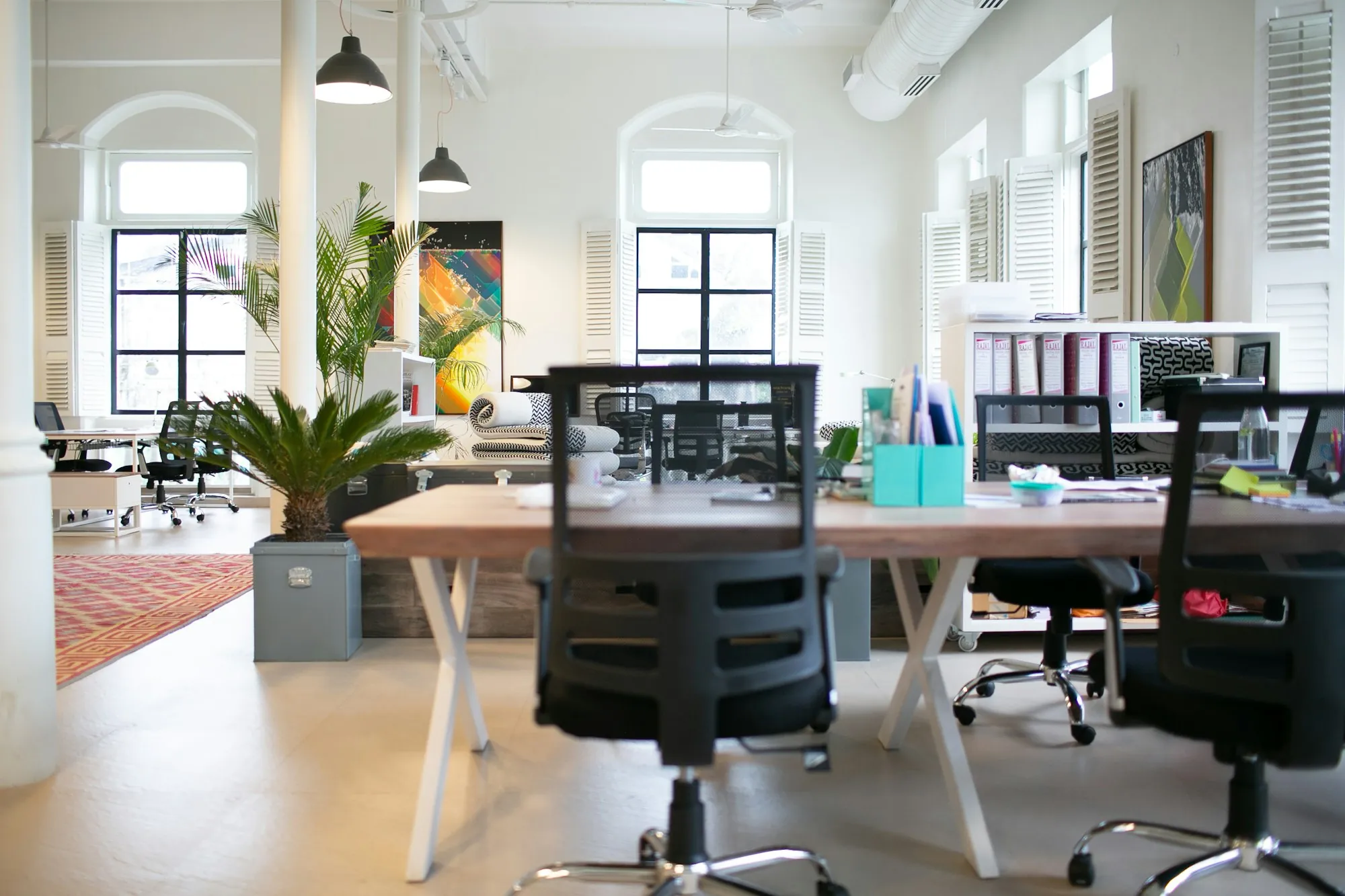 Bright office with desks, plants and a patterned rug